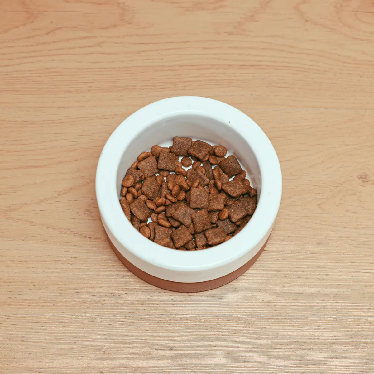 Reviewing dog food quality